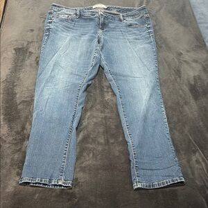 Torrid Jeans